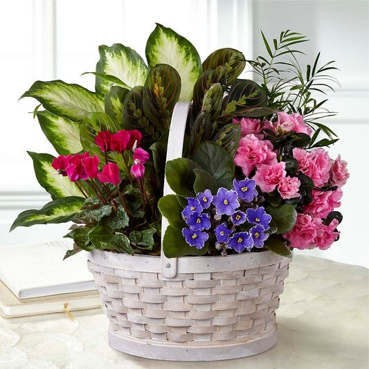 Peaceful Garden Planter – LESLIE'S FLOWERS & PARTY SUPPLIES, Howell NJ