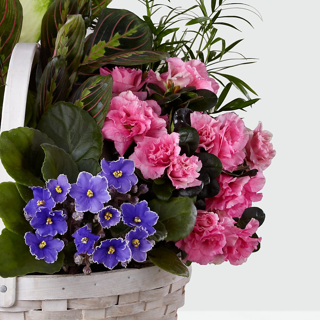 Peaceful Garden Planter – LESLIE'S FLOWERS & PARTY SUPPLIES, Howell NJ