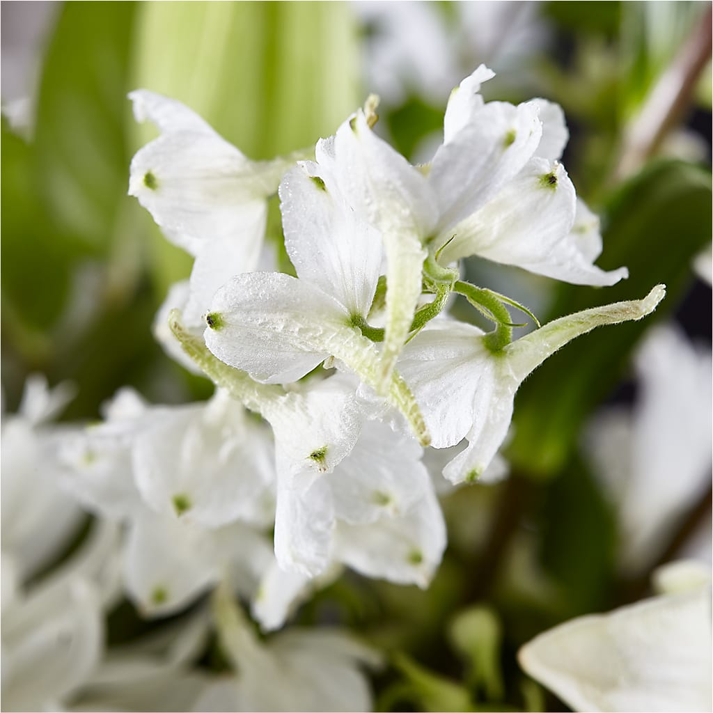 Classic Ivory – A Florist Original – LESLIE'S FLOWERS & PARTY SUPPLIES, Howell NJ