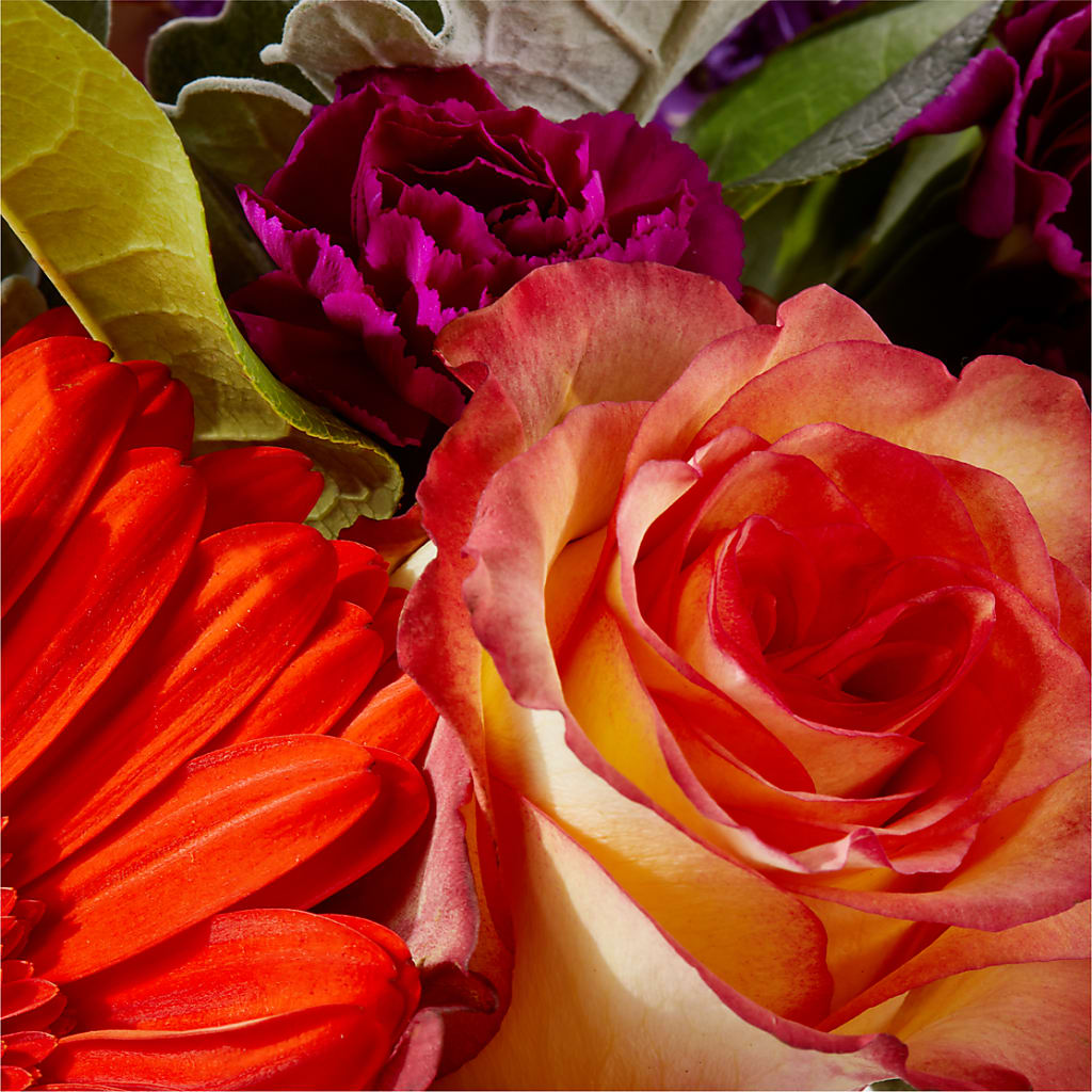 Sangria Bouquet – LESLIE'S FLOWERS & PARTY SUPPLIES, Howell NJ