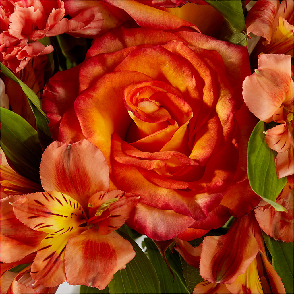 Apricot Glow Bouquet – LESLIE'S FLOWERS & PARTY SUPPLIES, Howell NJ