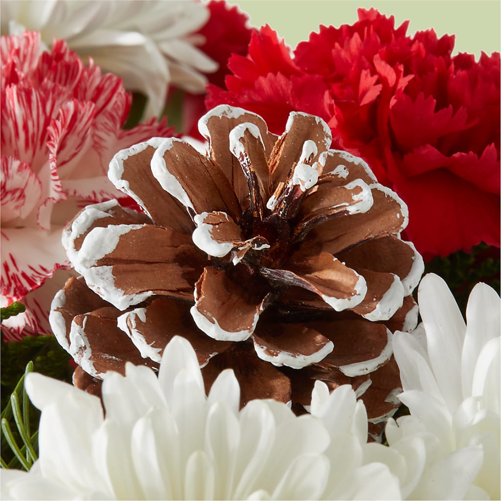 Candy Cane Lane Bouquet – LESLIE'S FLOWERS & PARTY SUPPLIES, Howell NJ