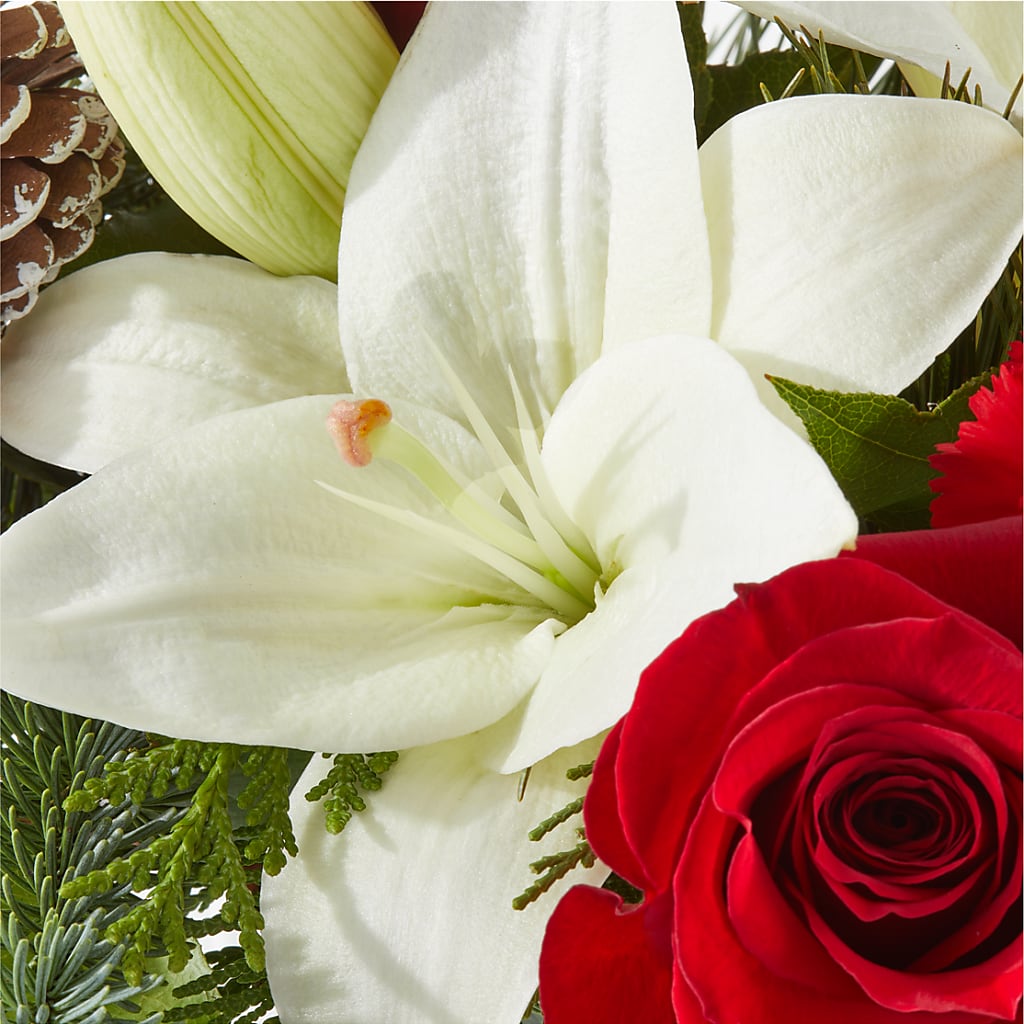 Oh So Jolly Bouquet – LESLIE'S FLOWERS & PARTY SUPPLIES, Howell NJ