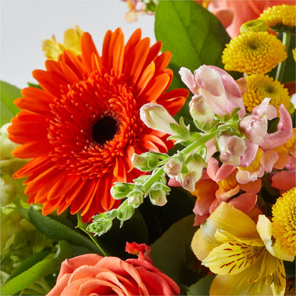 Autumn Sunshine Bouquet – LESLIE'S FLOWERS & PARTY SUPPLIES, Howell NJ