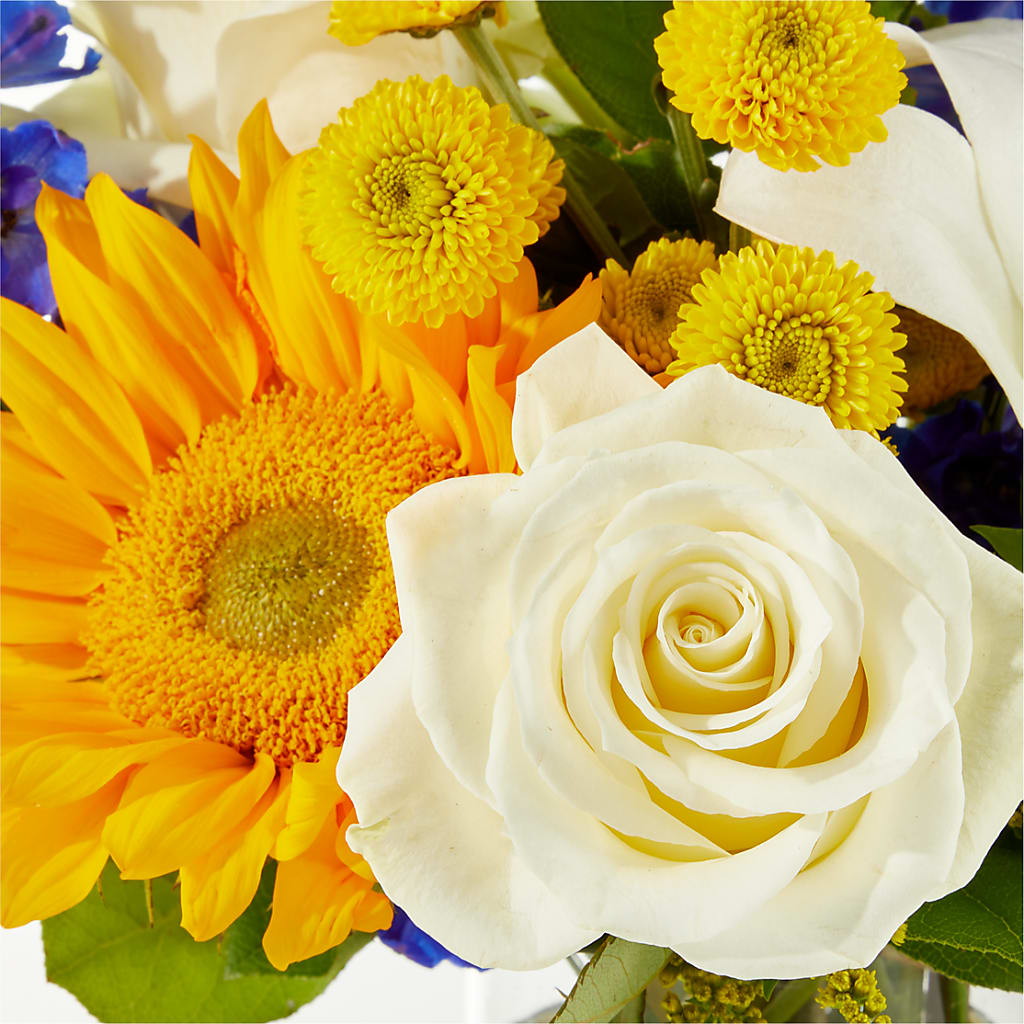 Stargazing Bouquet – LESLIE'S FLOWERS & PARTY SUPPLIES, Howell NJ
