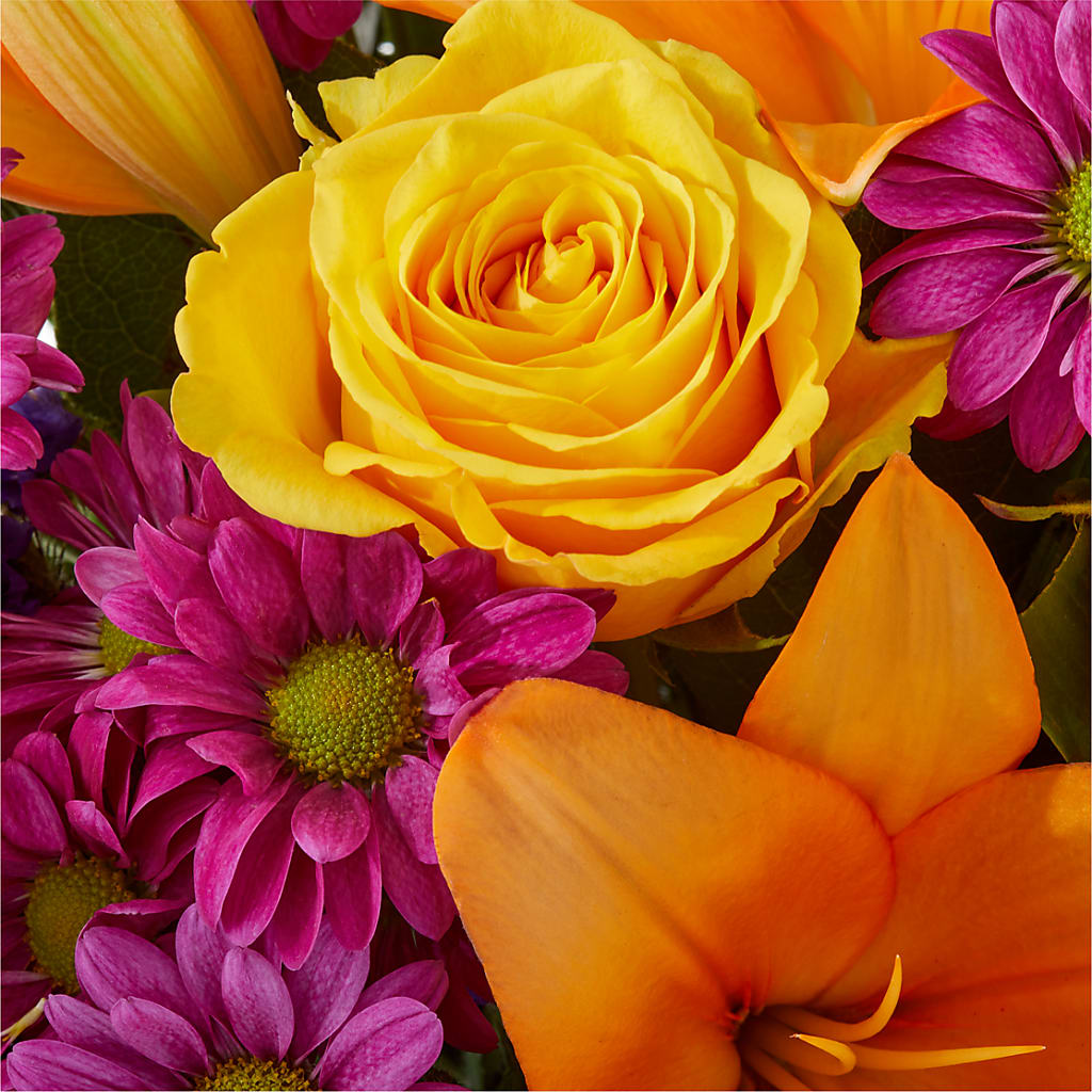 Colorful Visions Bouquet – LESLIE'S FLOWERS & PARTY SUPPLIES, Howell NJ