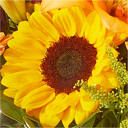 Seasons Change Bouquet – LESLIE'S FLOWERS & PARTY SUPPLIES, Howell NJ