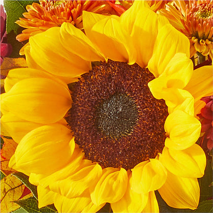 Sunny Side Bouquet – LESLIE'S FLOWERS & PARTY SUPPLIES, Howell NJ