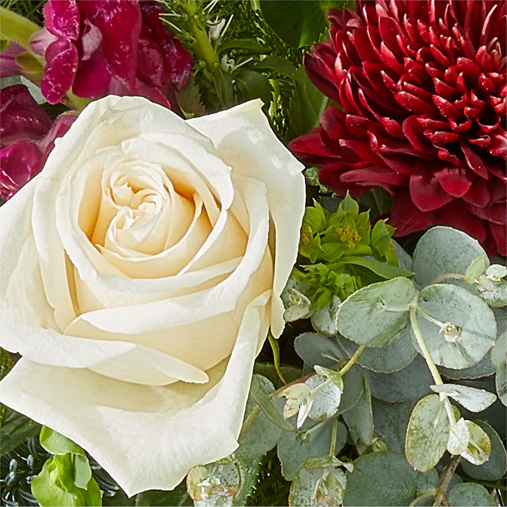 Cranberry Fizz Bouquet – LESLIE'S FLOWERS & PARTY SUPPLIES, Howell NJ