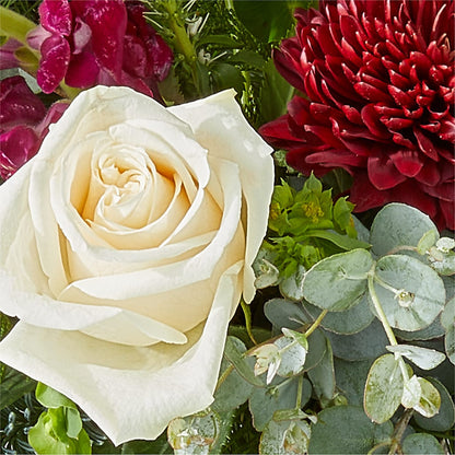 Cranberry Fizz Bouquet – LESLIE'S FLOWERS & PARTY SUPPLIES, Howell NJ