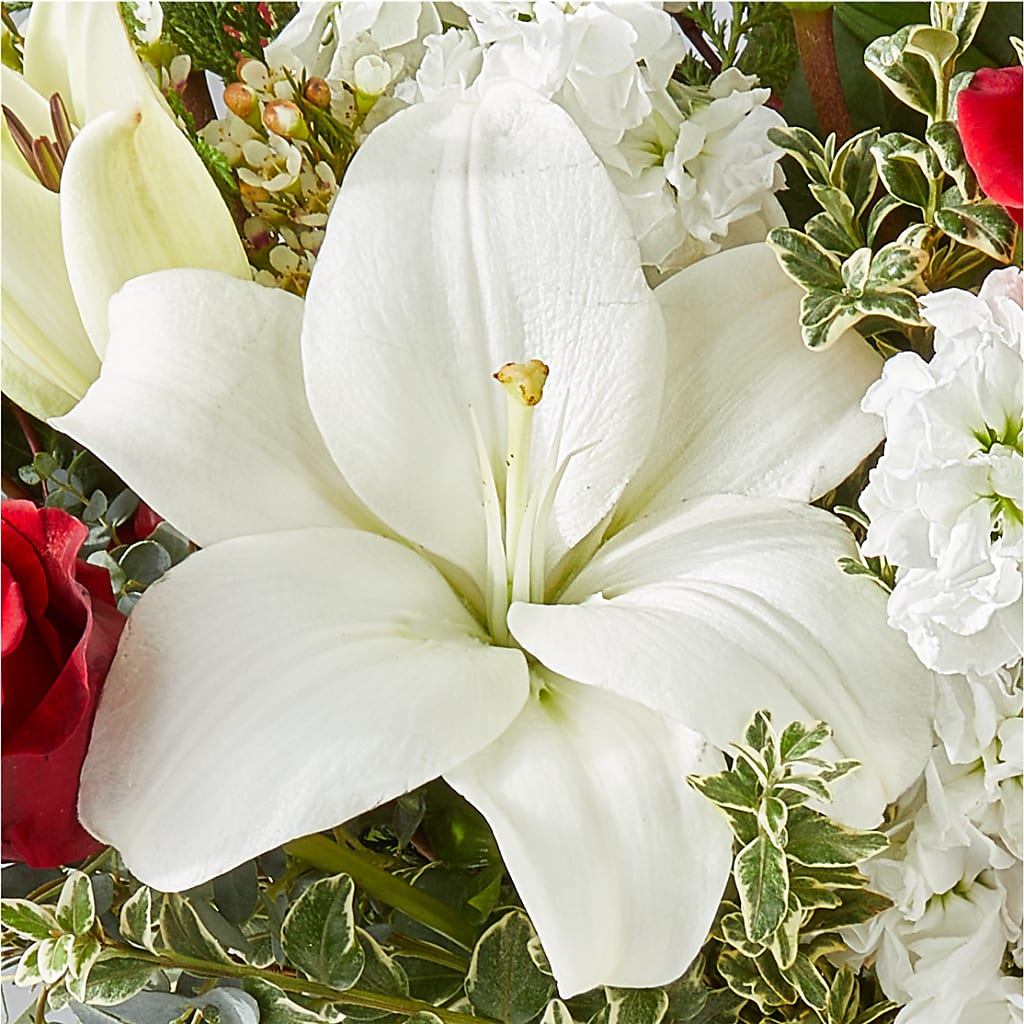 Twinkle Lights Bouquet – LESLIE'S FLOWERS & PARTY SUPPLIES, Howell NJ
