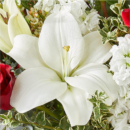 Twinkle Lights Bouquet – LESLIE'S FLOWERS & PARTY SUPPLIES, Howell NJ