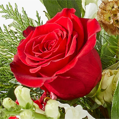 Deck the Halls Bouquet – LESLIE'S FLOWERS & PARTY SUPPLIES, Howell NJ