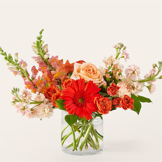 Paloma Please Bouquet – LESLIE'S FLOWERS & PARTY SUPPLIES, Howell NJ