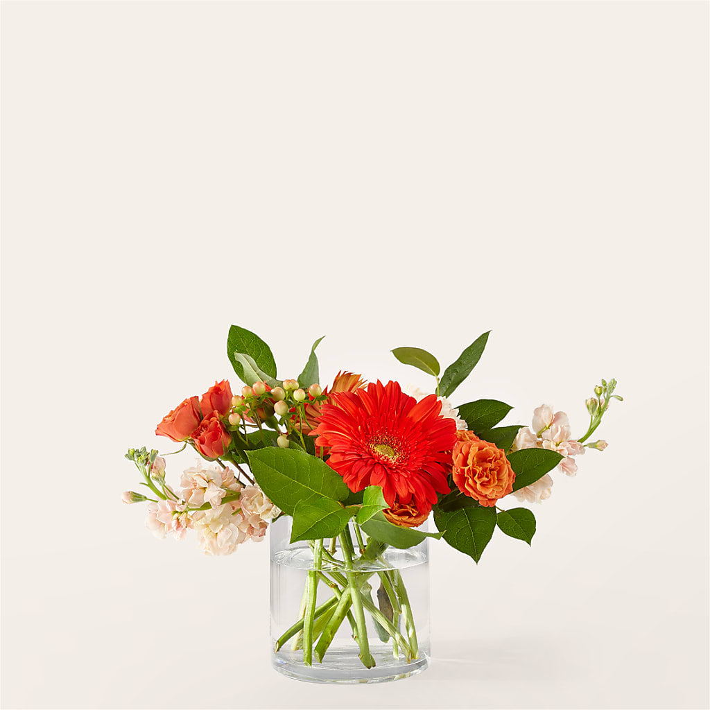 Paloma Please Bouquet – LESLIE'S FLOWERS & PARTY SUPPLIES, Howell NJ