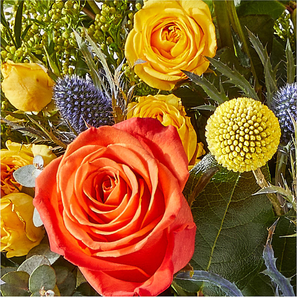 Disco Bouquet – LESLIE'S FLOWERS & PARTY SUPPLIES, Howell NJ