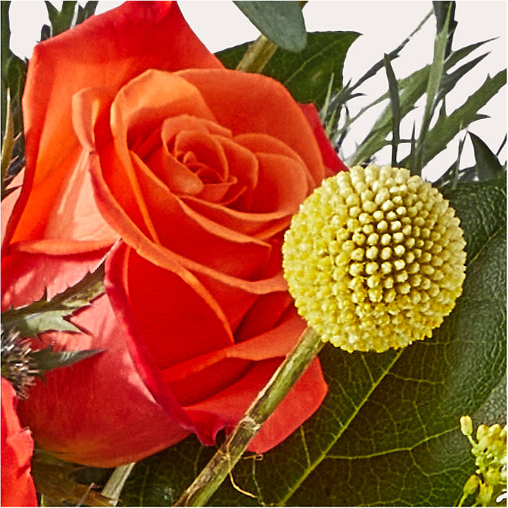Disco Bouquet – LESLIE'S FLOWERS & PARTY SUPPLIES, Howell NJ