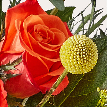 Disco Bouquet – LESLIE'S FLOWERS & PARTY SUPPLIES, Howell NJ