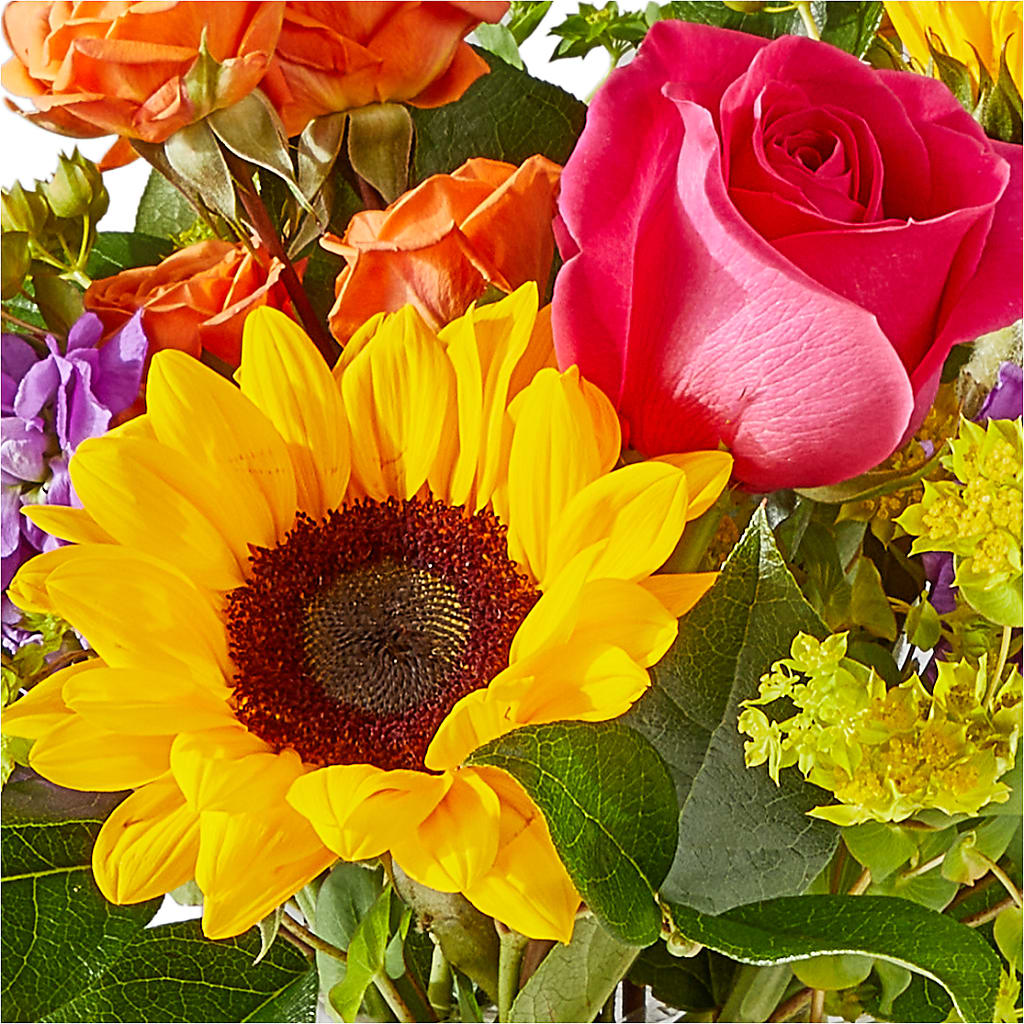 Vibrant Greetings Bouquet – LESLIE'S FLOWERS & PARTY SUPPLIES, Howell NJ