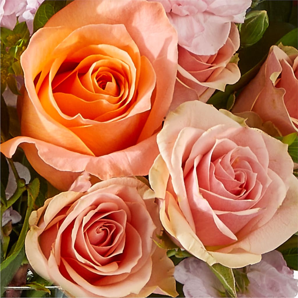 French Market Bouquet – LESLIE'S FLOWERS & PARTY SUPPLIES, Howell NJ