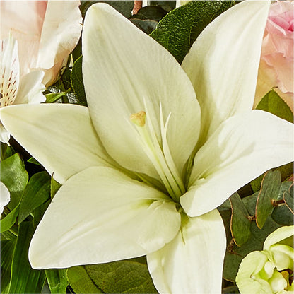 Ballet Slippers Bouquet – LESLIE'S FLOWERS & PARTY SUPPLIES, Howell NJ