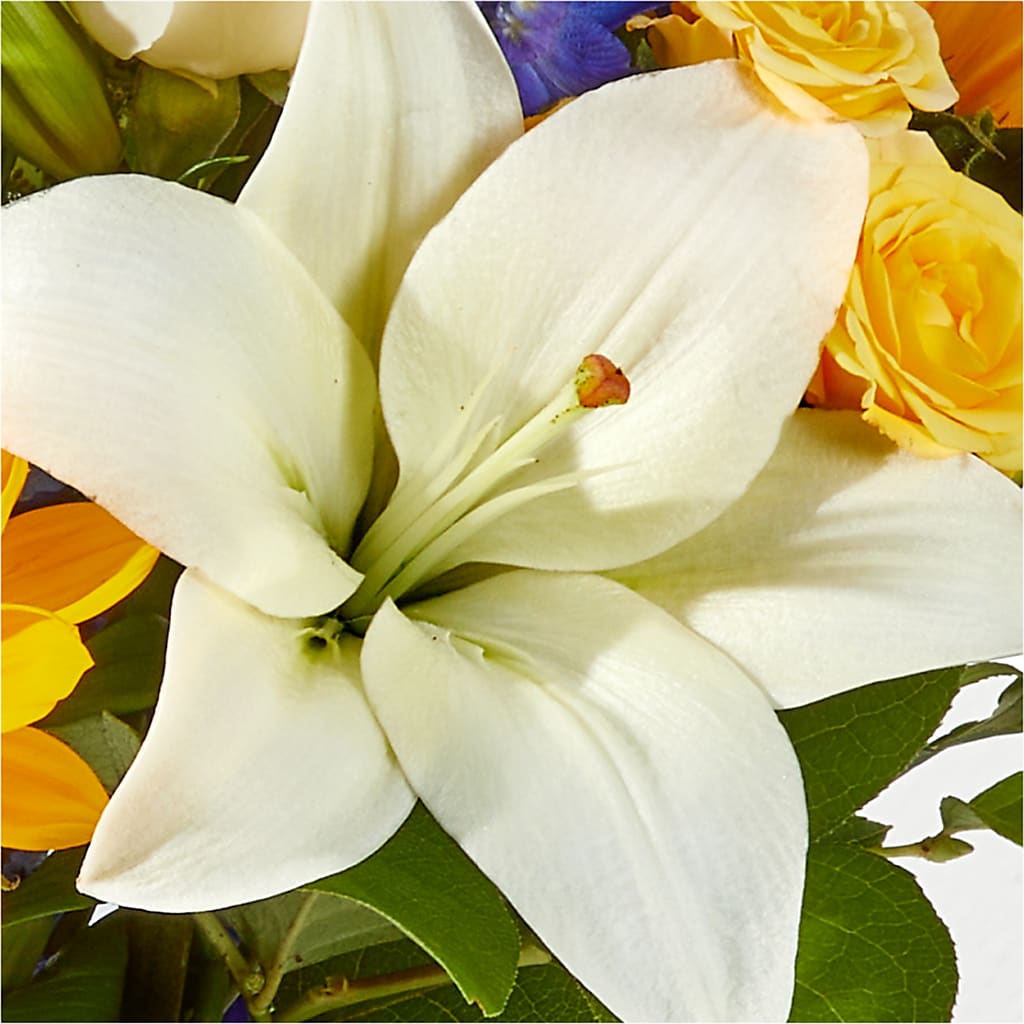 Wonderfully Sunny Bouquet – LESLIE'S FLOWERS & PARTY SUPPLIES, Howell NJ