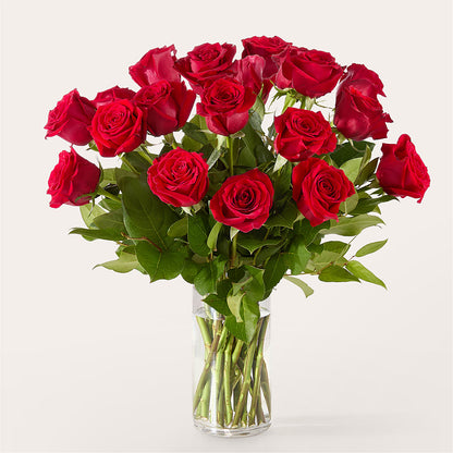 The One Red Rose Bouquet – LESLIE'S FLOWERS & PARTY SUPPLIES, Howell NJ