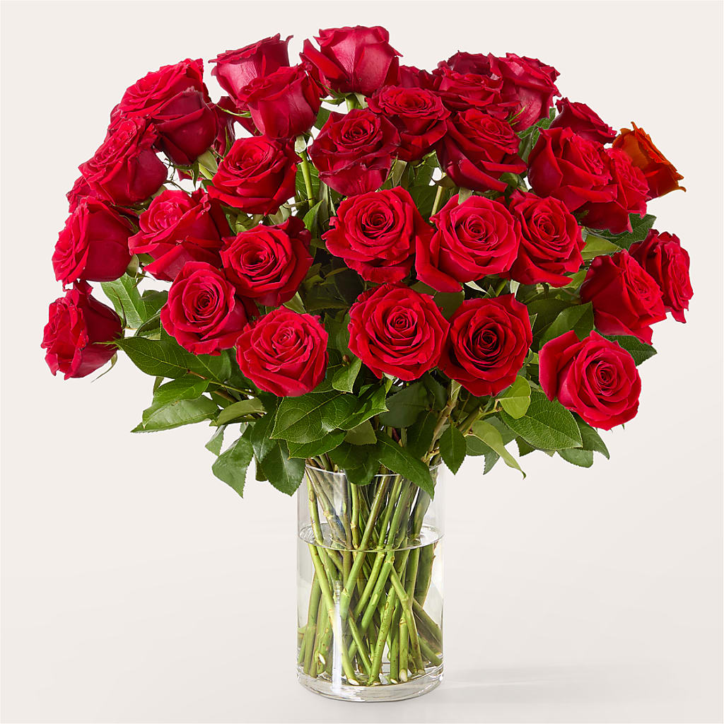 The One Red Rose Bouquet – LESLIE'S FLOWERS & PARTY SUPPLIES, Howell NJ