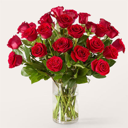 The One Red Rose Bouquet – LESLIE'S FLOWERS & PARTY SUPPLIES, Howell NJ