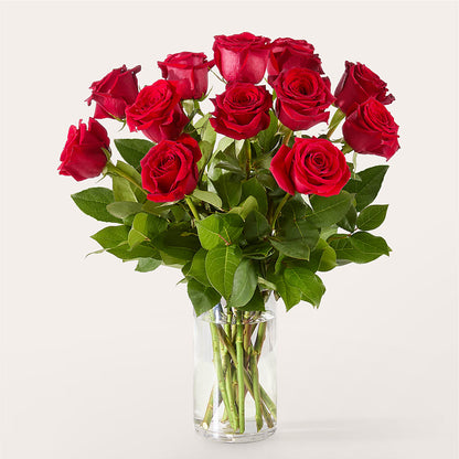 The One Red Rose Bouquet – LESLIE'S FLOWERS & PARTY SUPPLIES, Howell NJ
