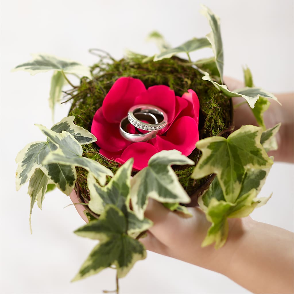 Lila Rose Ring Nest – LESLIE'S FLOWERS & PARTY SUPPLIES, Howell NJ