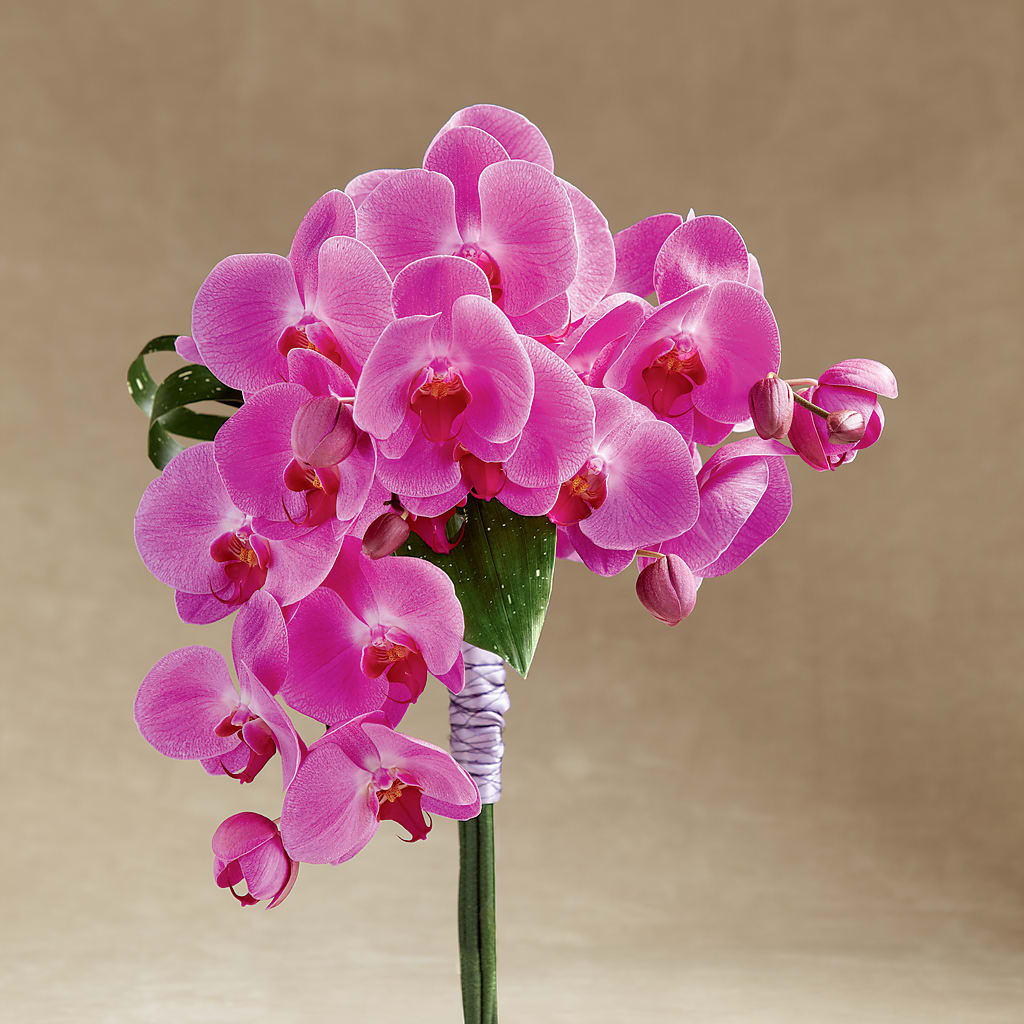 Glorious Bouquet – LESLIE'S FLOWERS & PARTY SUPPLIES, Howell NJ