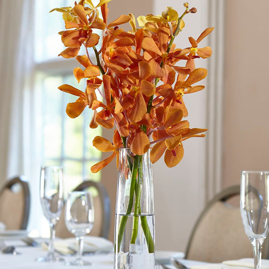 Orange Mokara Bud Vase – LESLIE'S FLOWERS & PARTY SUPPLIES, Howell NJ