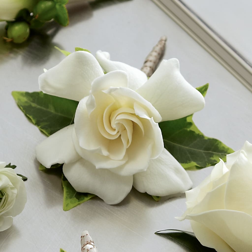 Gardenia Boutonniere – LESLIE'S FLOWERS & PARTY SUPPLIES, Howell NJ