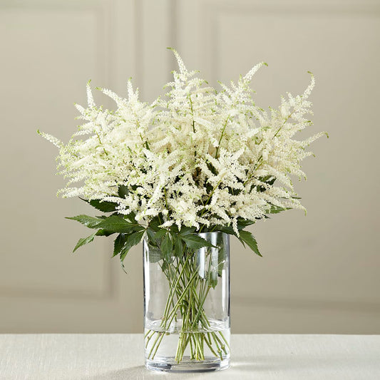 White Astilbe Bouquet – LESLIE'S FLOWERS & PARTY SUPPLIES, Howell NJ