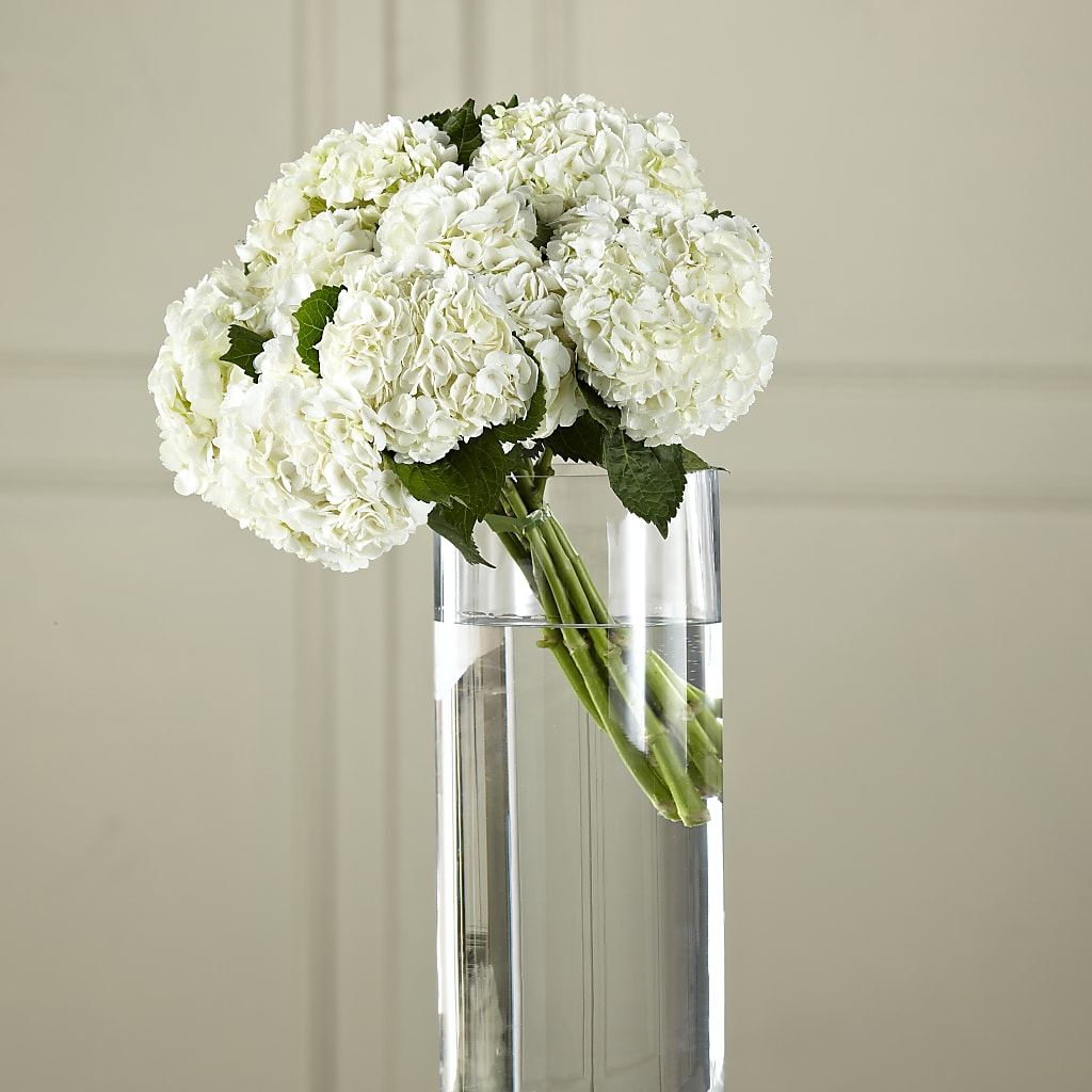 White Hydrangea Hand-Tied Bouquet – LESLIE'S FLOWERS & PARTY SUPPLIES, Howell NJ