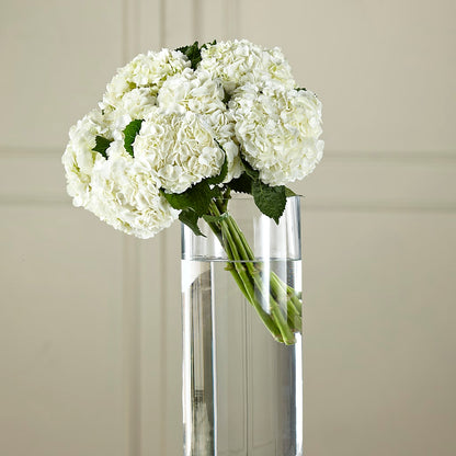White Hydrangea Hand-Tied Bouquet – LESLIE'S FLOWERS & PARTY SUPPLIES, Howell NJ