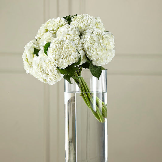 White Hydrangea Hand-Tied Bouquet – LESLIE'S FLOWERS & PARTY SUPPLIES, Howell NJ