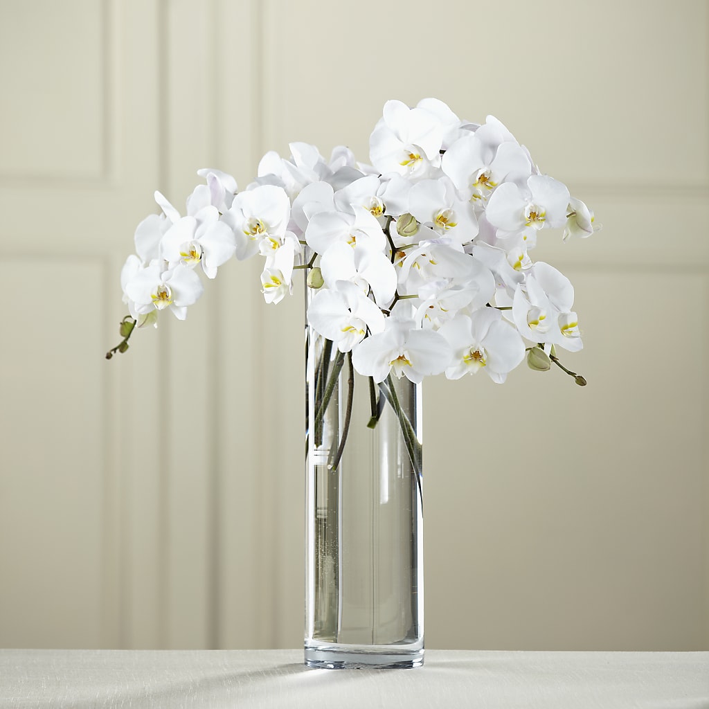 White Phalaenopsis Bouquet – LESLIE'S FLOWERS & PARTY SUPPLIES, Howell NJ