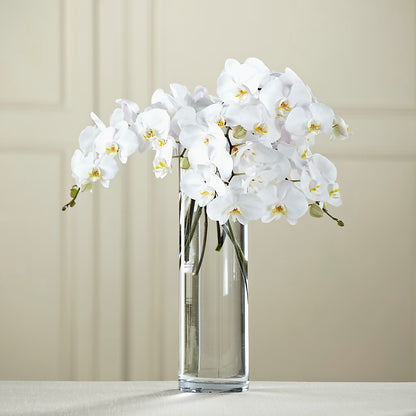 White Phalaenopsis Bouquet – LESLIE'S FLOWERS & PARTY SUPPLIES, Howell NJ