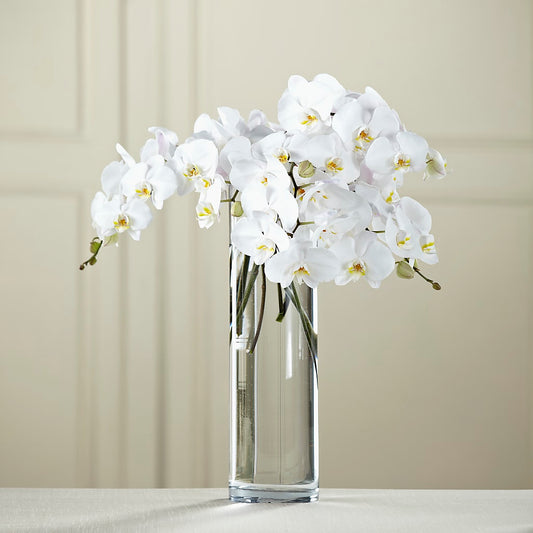 White Phalaenopsis Bouquet – LESLIE'S FLOWERS & PARTY SUPPLIES, Howell NJ