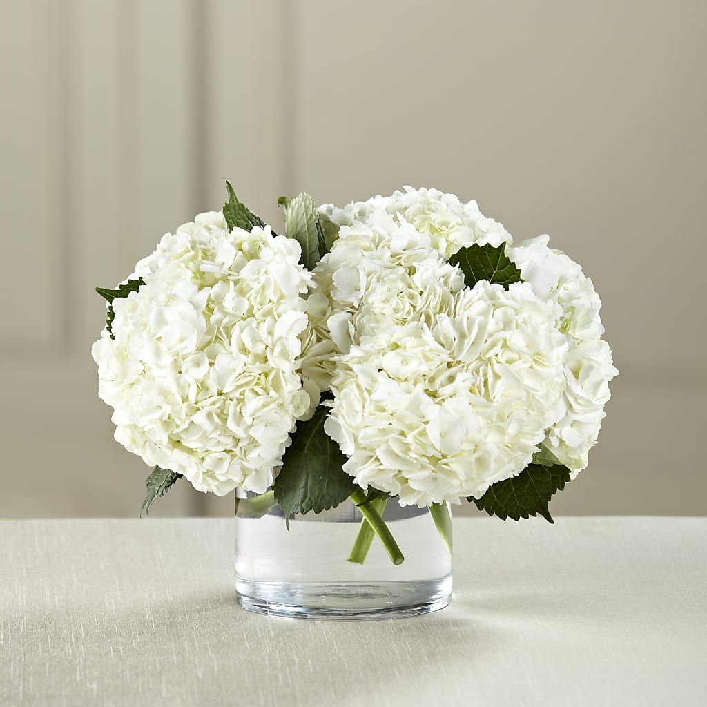 White Hydrangea Bouquet – LESLIE'S FLOWERS & PARTY SUPPLIES, Howell NJ