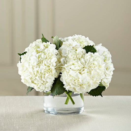 White Hydrangea Bouquet – LESLIE'S FLOWERS & PARTY SUPPLIES, Howell NJ